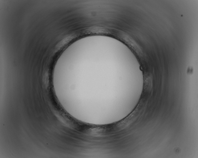 X0000102020158200808081757