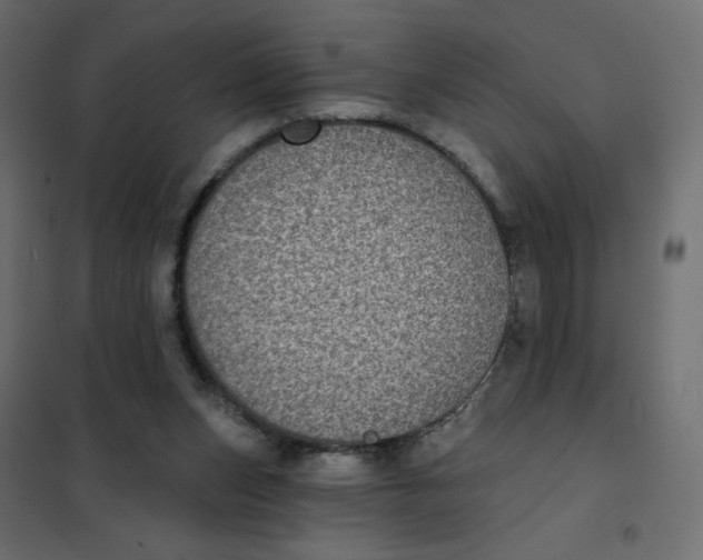 X0000102020159200808081757