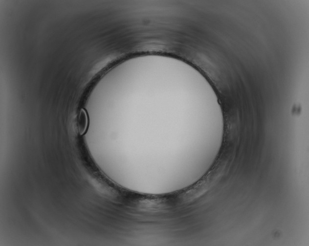 X0000102020160200808081757