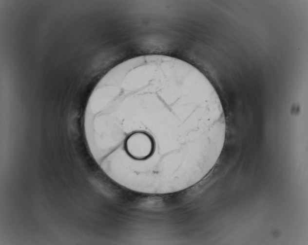 X0000102020162200808081757