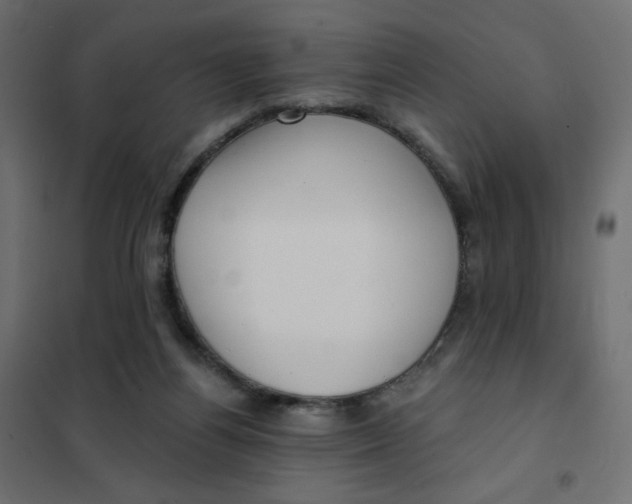 X0000102020164200808081757