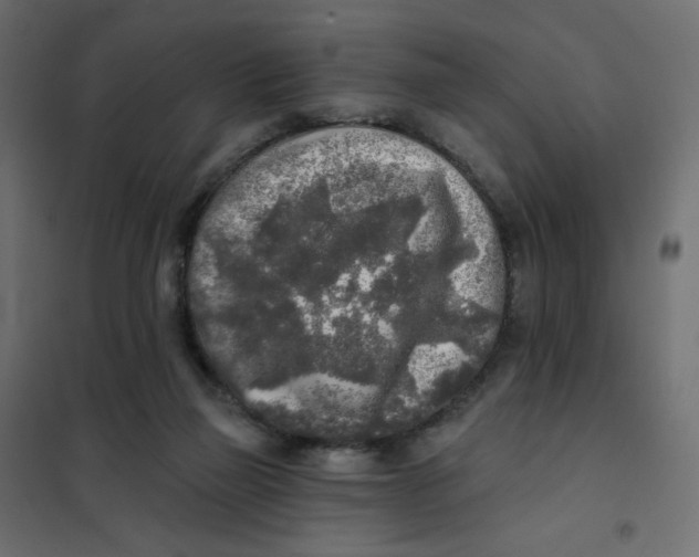 X0000102020165200808081757