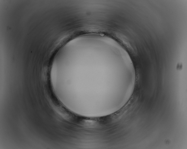 X0000102020167200808081757