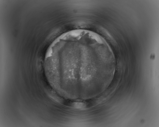 X0000102020169200808081757