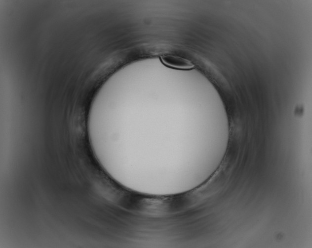 X0000102020170200808081757