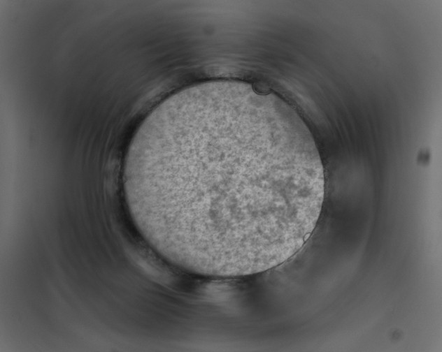 X0000102020171200808081757