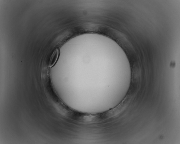 X0000102020172200808081757