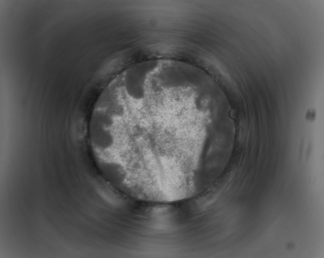 X0000102020173200808081757
