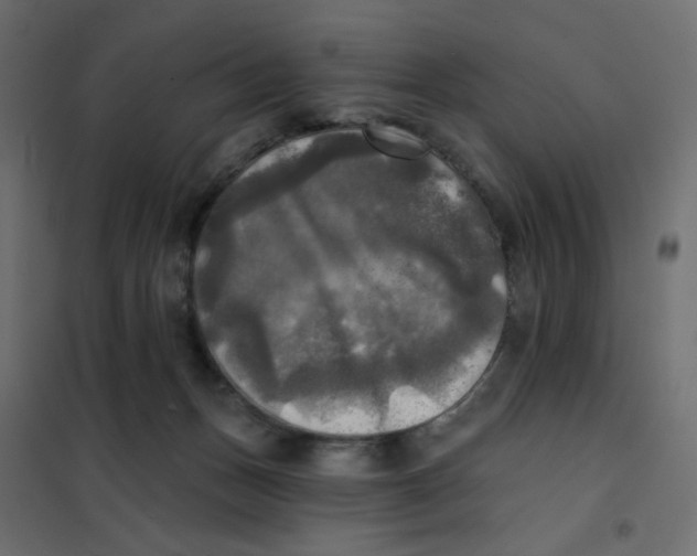 X0000102020175200808081757