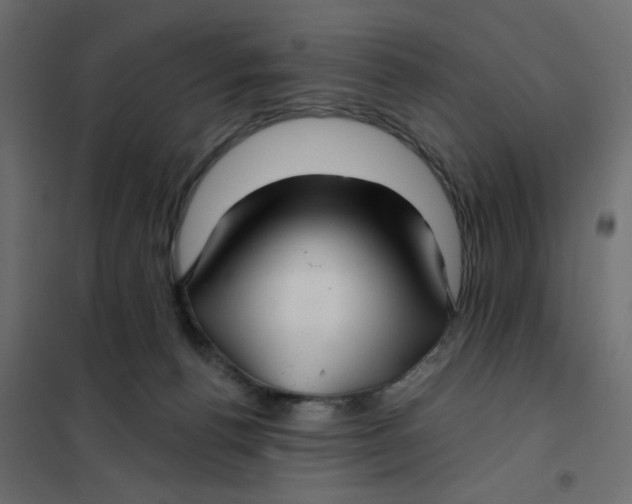 X0000102020176200808081757