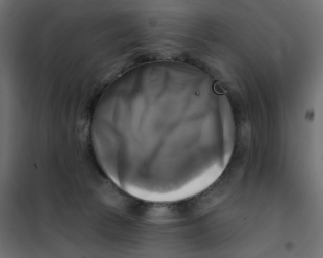 X0000102020177200808081757