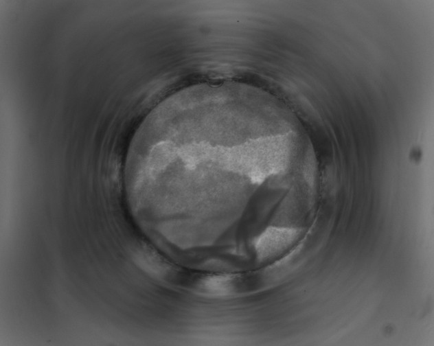 X0000102020178200808081757