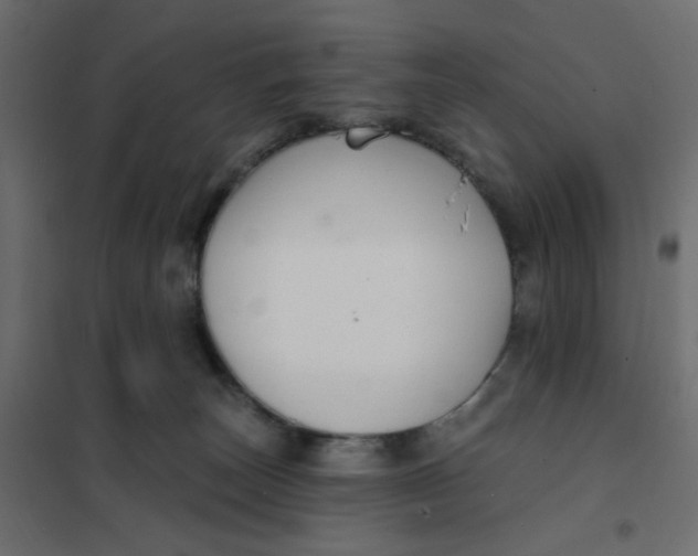 X0000102020179200808081757