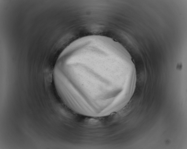 X0000102020180200808081757