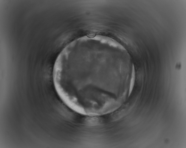 X0000102020181200808081757