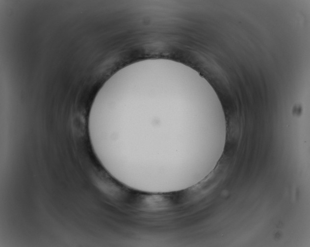 X0000102020183200808081757