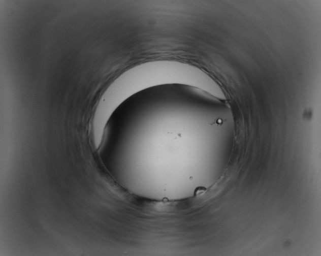 X0000102020184200808081757
