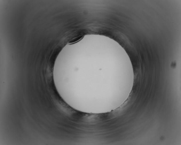X0000102020186200808081757