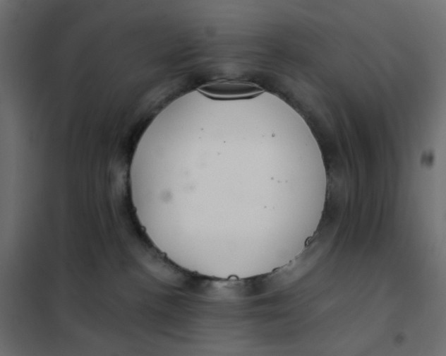 X0000102020188200808081757