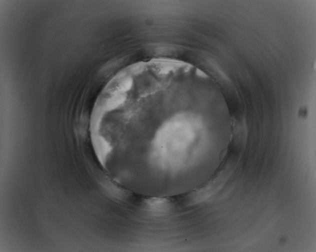 X0000102020189200808081757