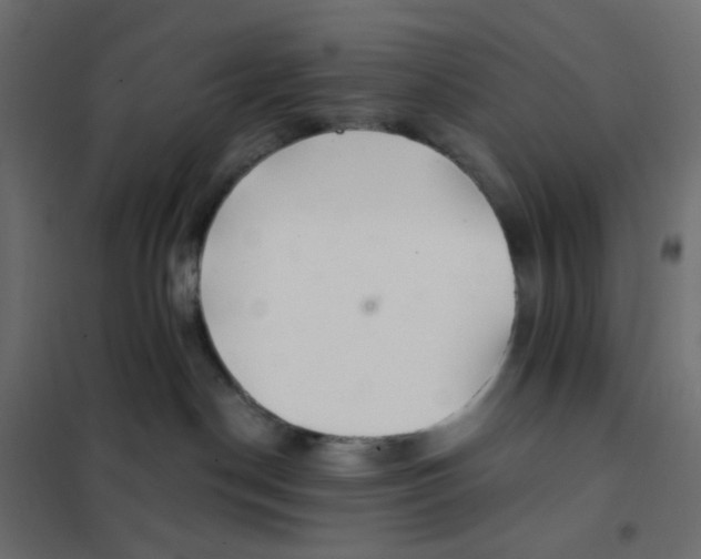 X0000102020190200808081757