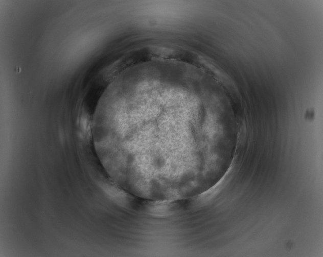 X0000102020191200808081757