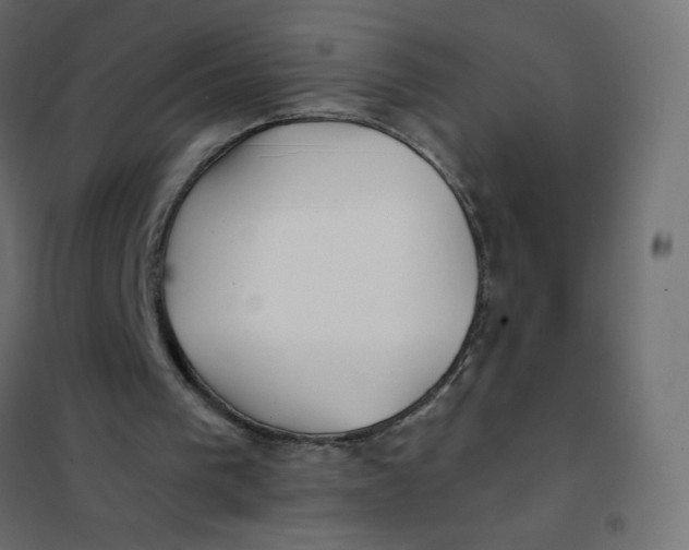 X0000102020193200808081756