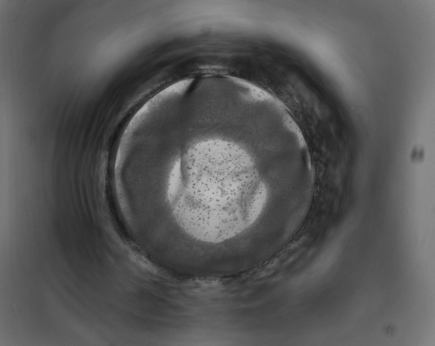 X0000102020194200808081756