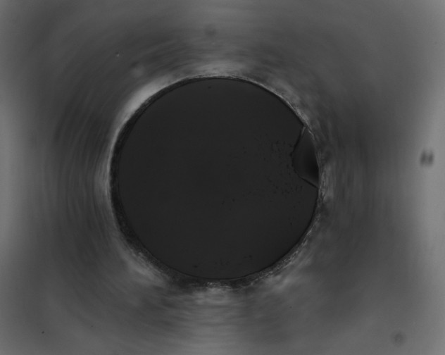X0000102020196200808081756