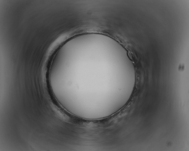 X0000102020197200808081756