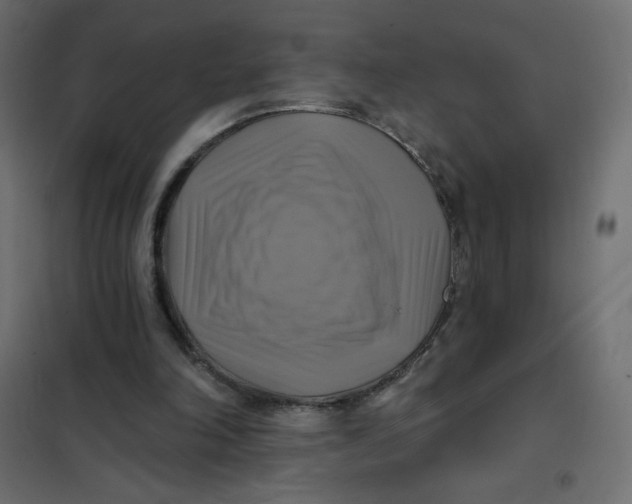 X0000102020198200808081756