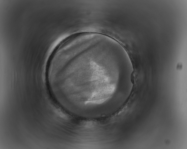 X0000102020200200808081756