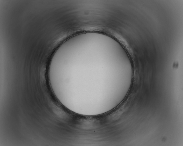 X0000102020201200808081756