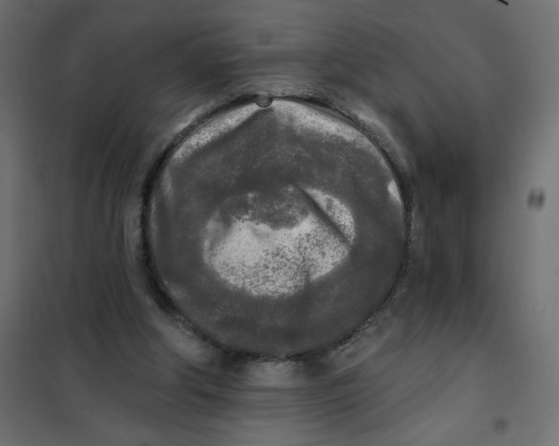 X0000102020202200808081756