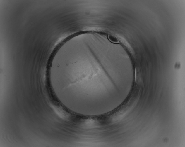 X0000102020204200808081756