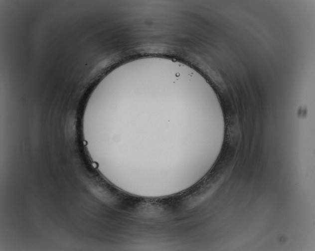 X0000102020207200808081756