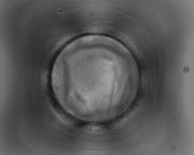 X0000102020208200808081756
