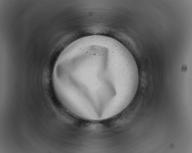 X0000102020210200808081756