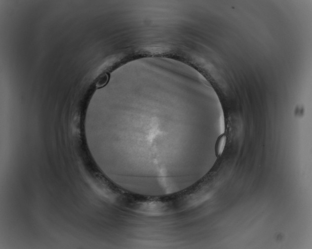 X0000102020212200808081756