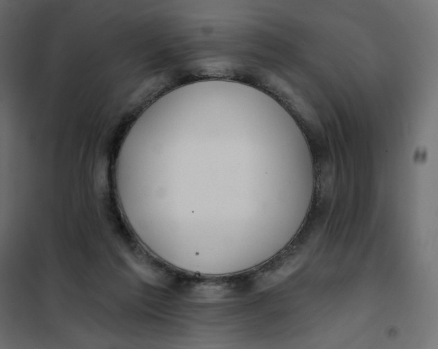 X0000102020213200808081756