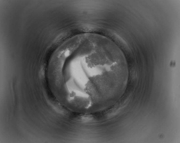 X0000102020214200808081756