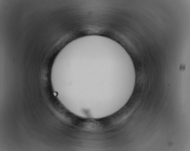 X0000102020215200808081756
