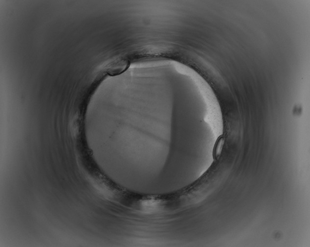 X0000102020216200808081756