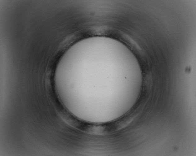 X0000102020217200808081756