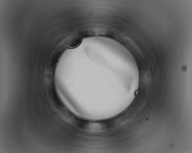 X0000102020218200808081756