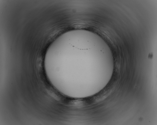 X0000102020219200808081756