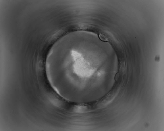 X0000102020220200808081756