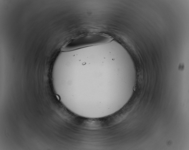 X0000102020221200808081756