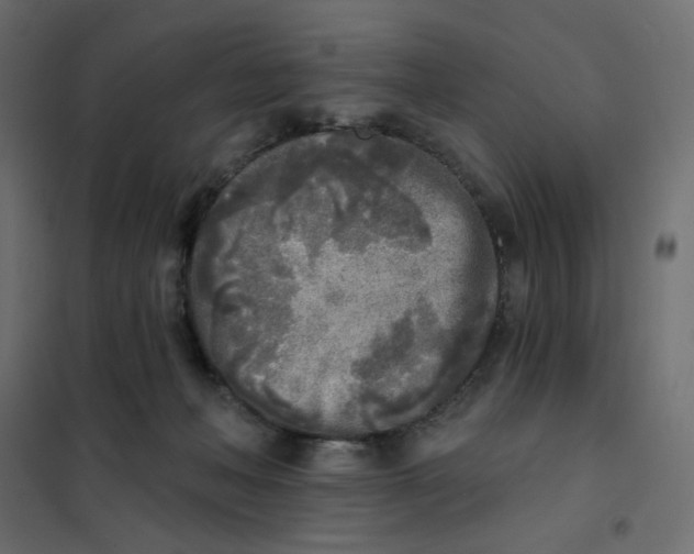 X0000102020222200808081756