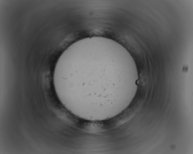 X0000102020223200808081756